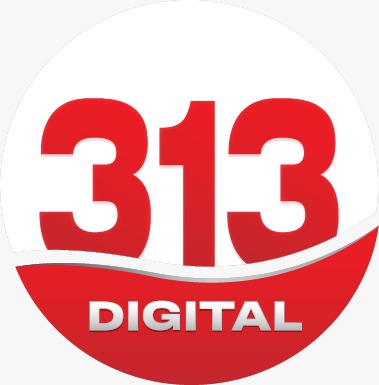 313 DIGITAL  TV